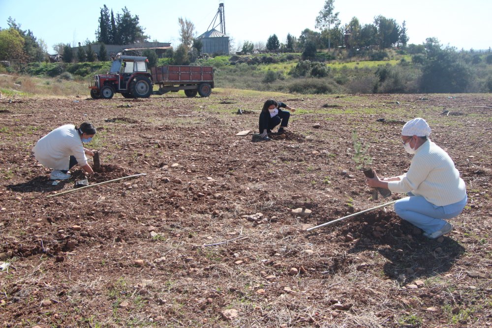Koronavirüsten yaşamını yitiren 380 sağlık çalışanının isimleri Adana'da yaşatılacak
