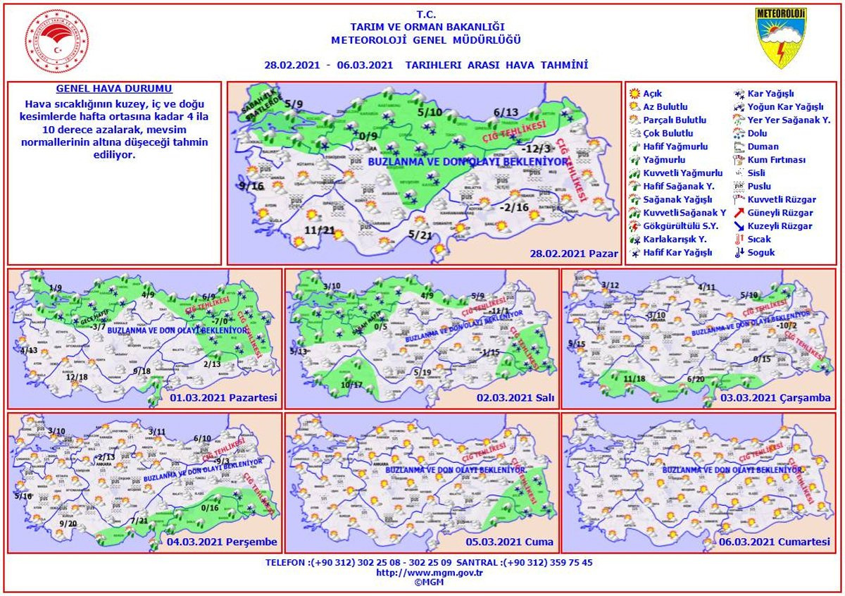279511-1200x846.jpg