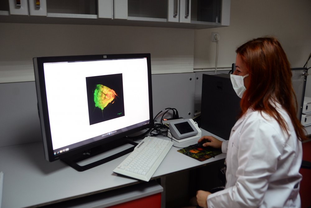 Bilim insanlarından 'kanser aşısı' çalışması
