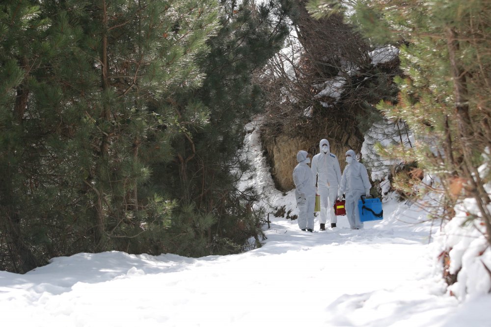 Samsun'da filyasyon ekipleri, kar kış demeden görevde