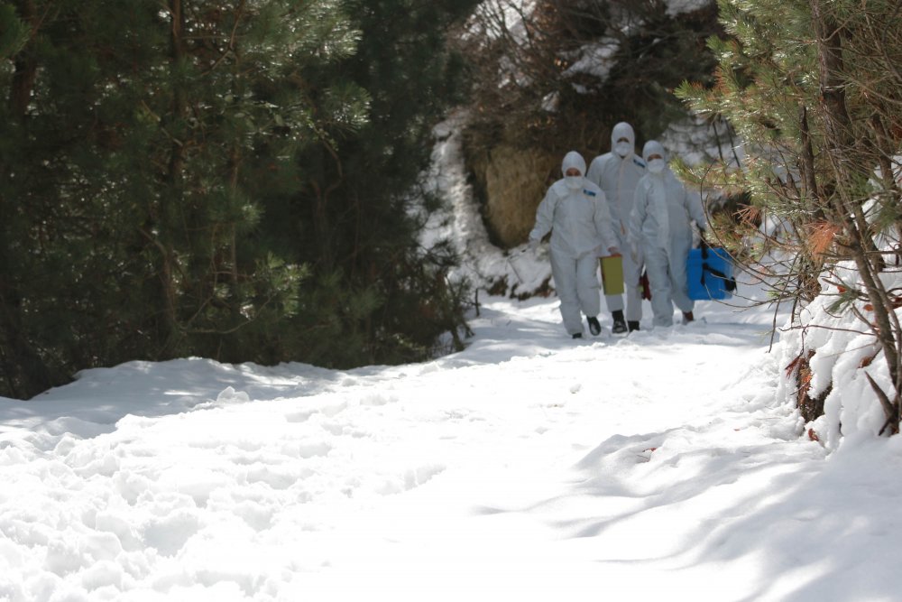 Samsun'da filyasyon ekipleri, kar kış demeden görevde