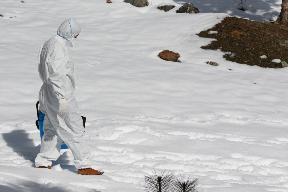 Samsun'da filyasyon ekipleri, kar kış demeden görevde