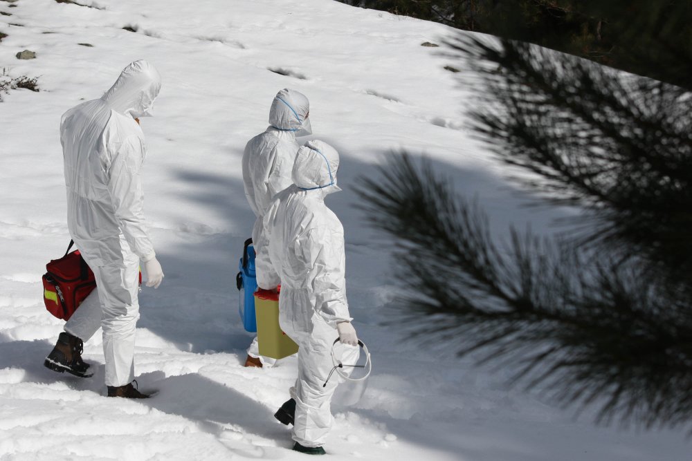 Samsun'da filyasyon ekipleri, kar kış demeden görevde