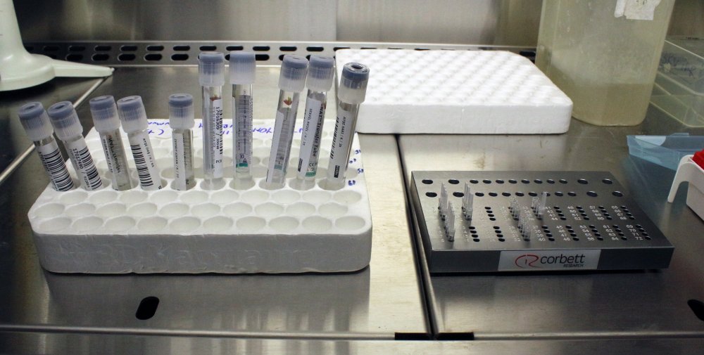 Mutasyonlar koronavirüs vaka sayısını artırdı, en çok İngiltere mutasyonu görüldü