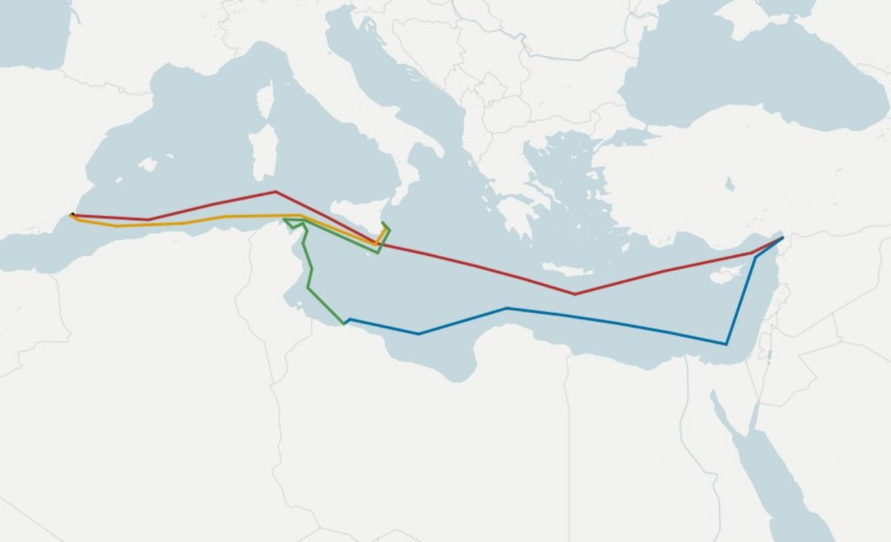 Türkiye reddetmişti... Büyükbaş hayvanlar, itlaf edilecek