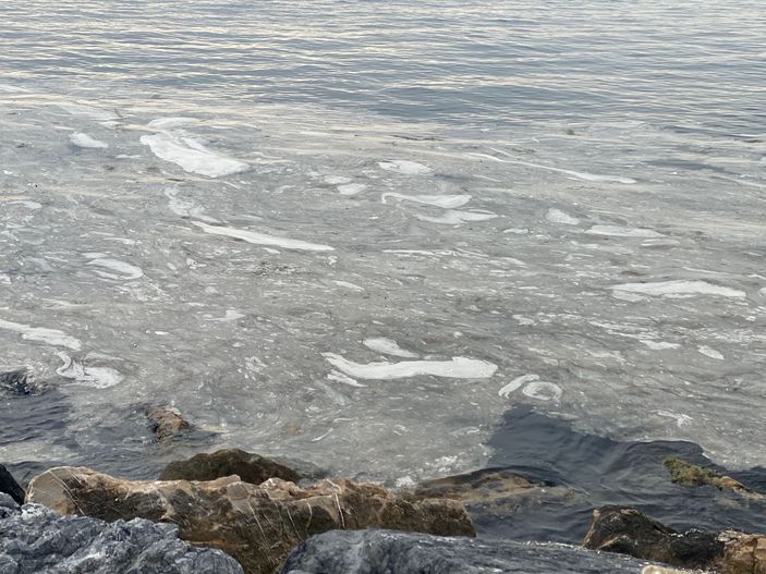 283328-703x527.jpg