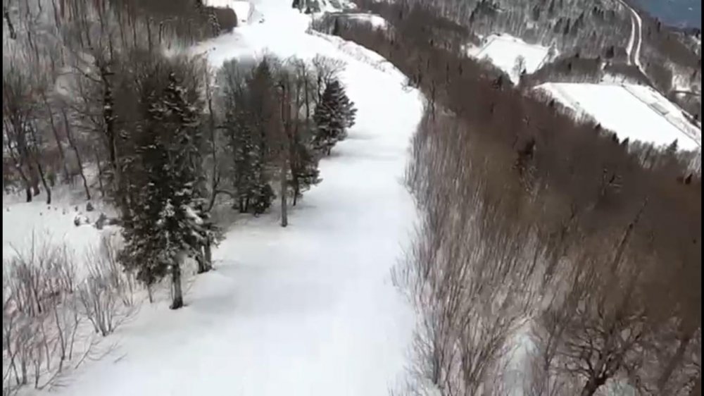 Yamaç paraşütü yaparken ağaçta asılı kaldı; o anlar kamerada