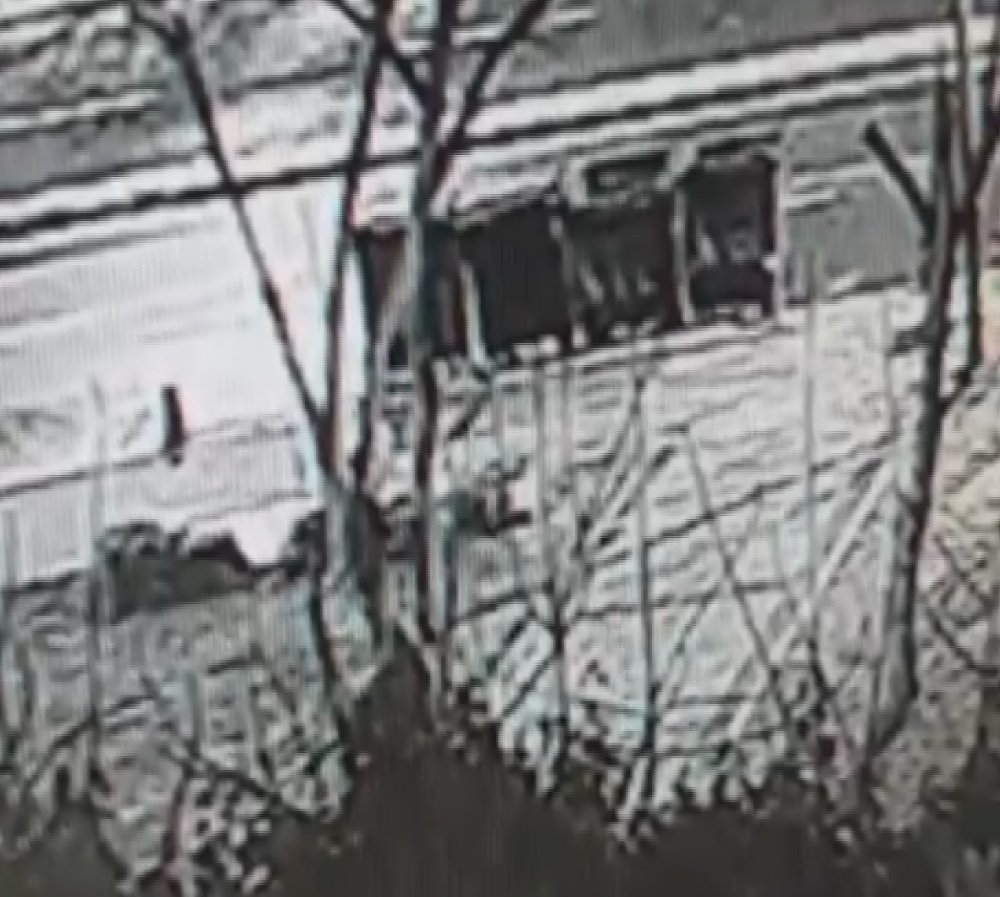 Kız kulesi'nin karşısındaki ağaçların kesilme görüntüleri ortaya çıktı
