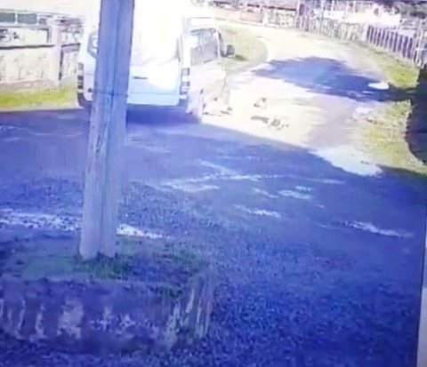 Şiddet son bulmuyor! Yolda yatan köpeğin üzerinden geçti