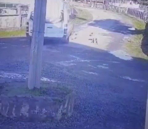 Şiddet son bulmuyor! Yolda yatan köpeğin üzerinden geçti