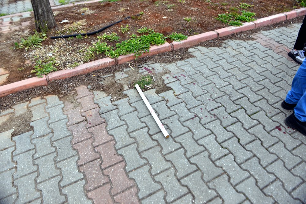 TIR sürücüsü, bozulan nişan masrafı tartışmasında öldürülmüş