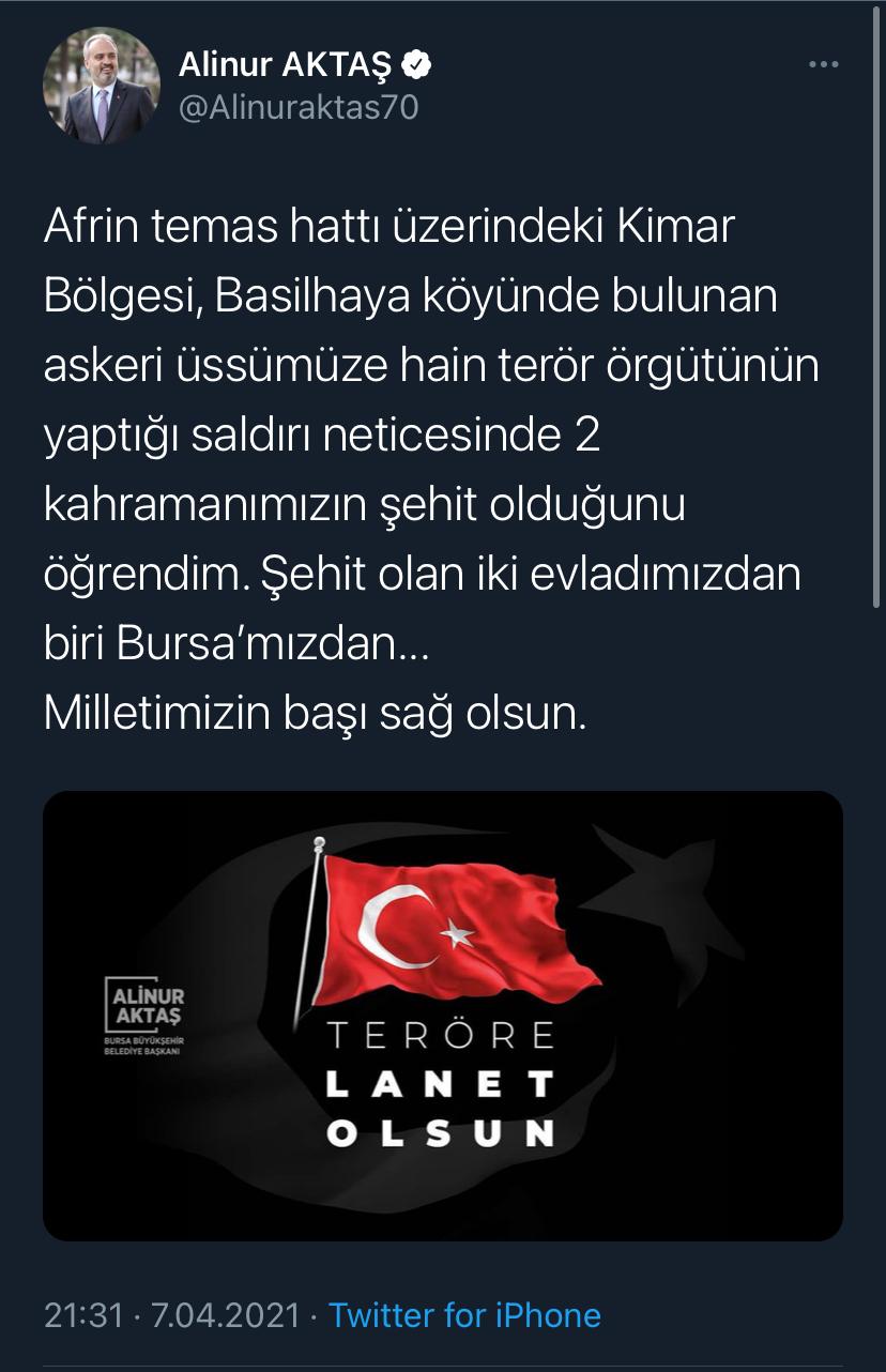 289523-828x1282-1.jpeg