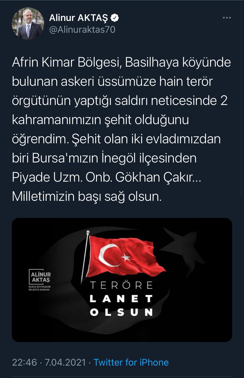 289534-828x1282.jpeg