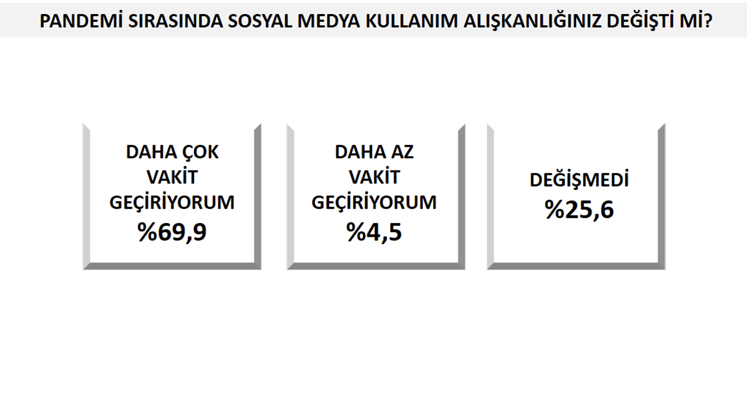 p1.jpg