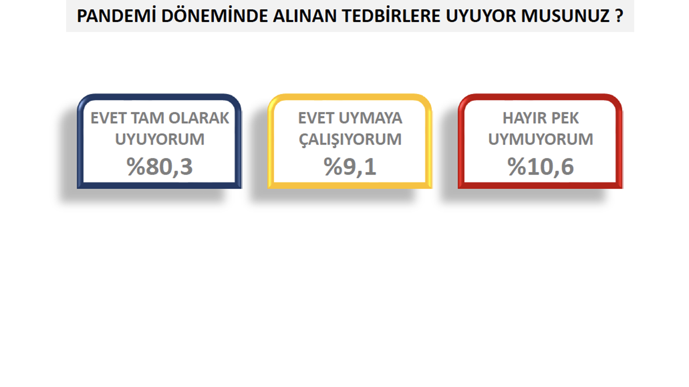 p9.jpg