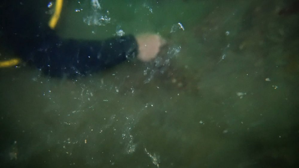 Marmara'nın derinliklerinde görüldü! Deniz canlılarının hayatını tehlikeye atıyor