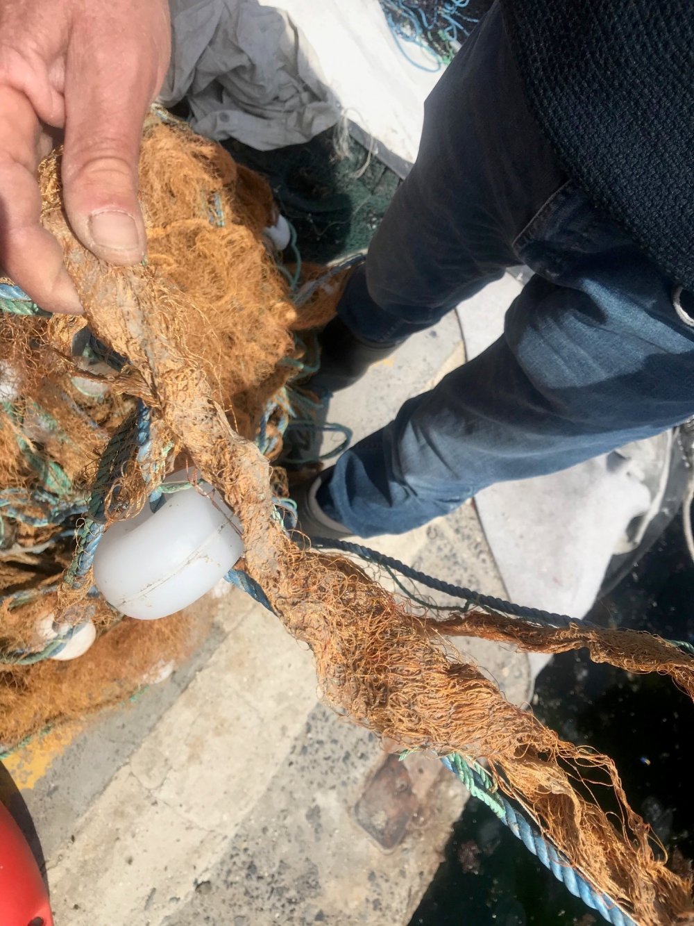 Marmara'nın derinliklerinde görüldü! Deniz canlılarının hayatını tehlikeye atıyor