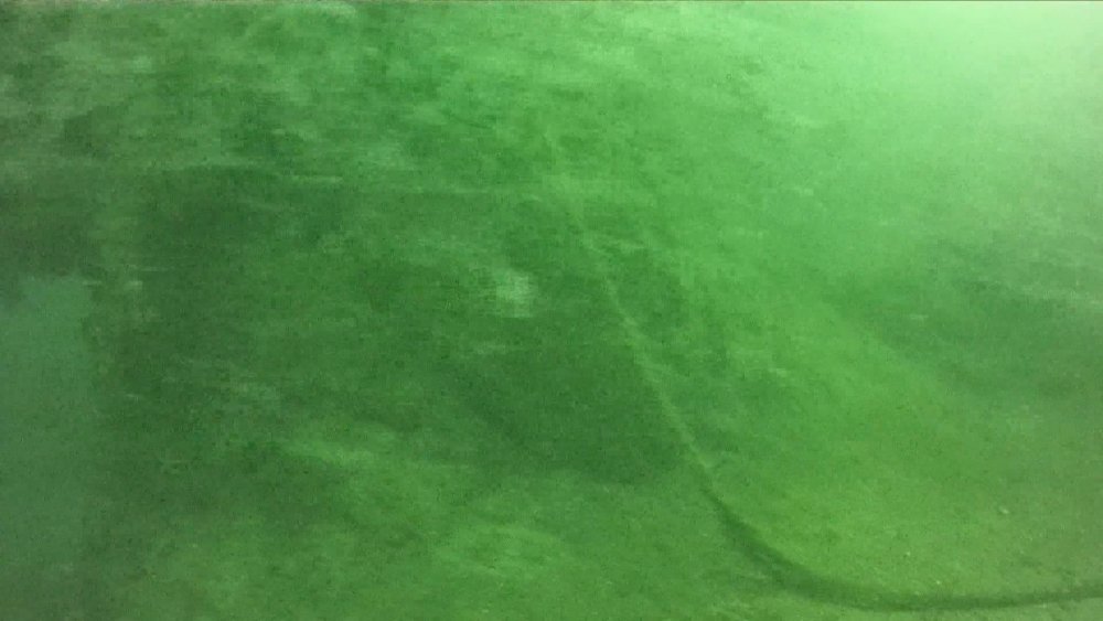 Marmara'nın derinliklerinde görüldü! Deniz canlılarının hayatını tehlikeye atıyor