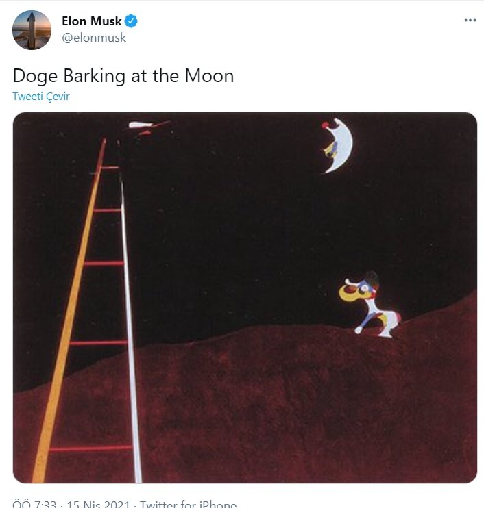 elon-1.jpg