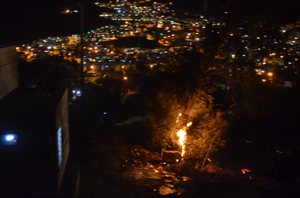 Muğla Bodrum'da makilik alanda yangın