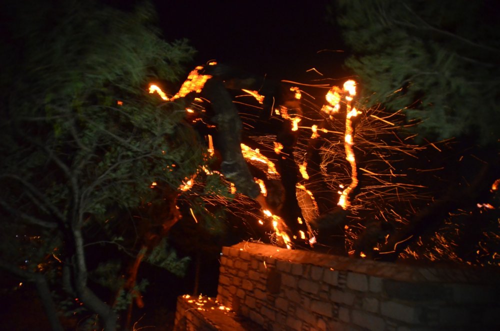 Muğla Bodrum'da makilik alanda yangın