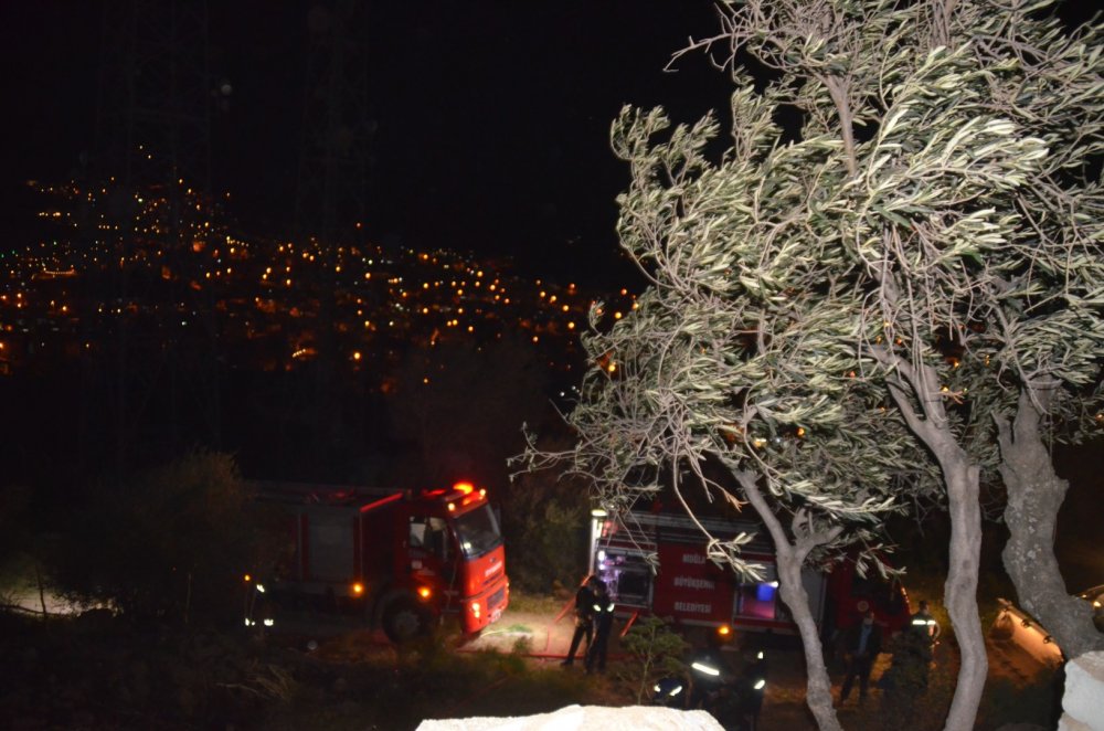 Muğla Bodrum'da makilik alanda yangın