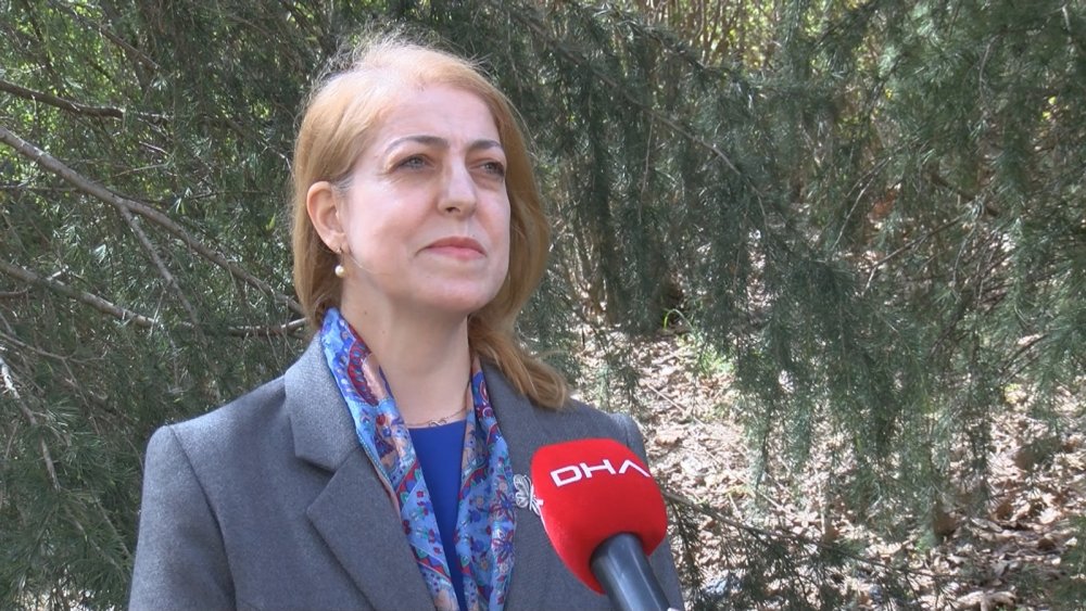 İstanbul için kritik uyarı! 'Yaz aylarında yaşanılmayacak kadar sıcaklık ve...'