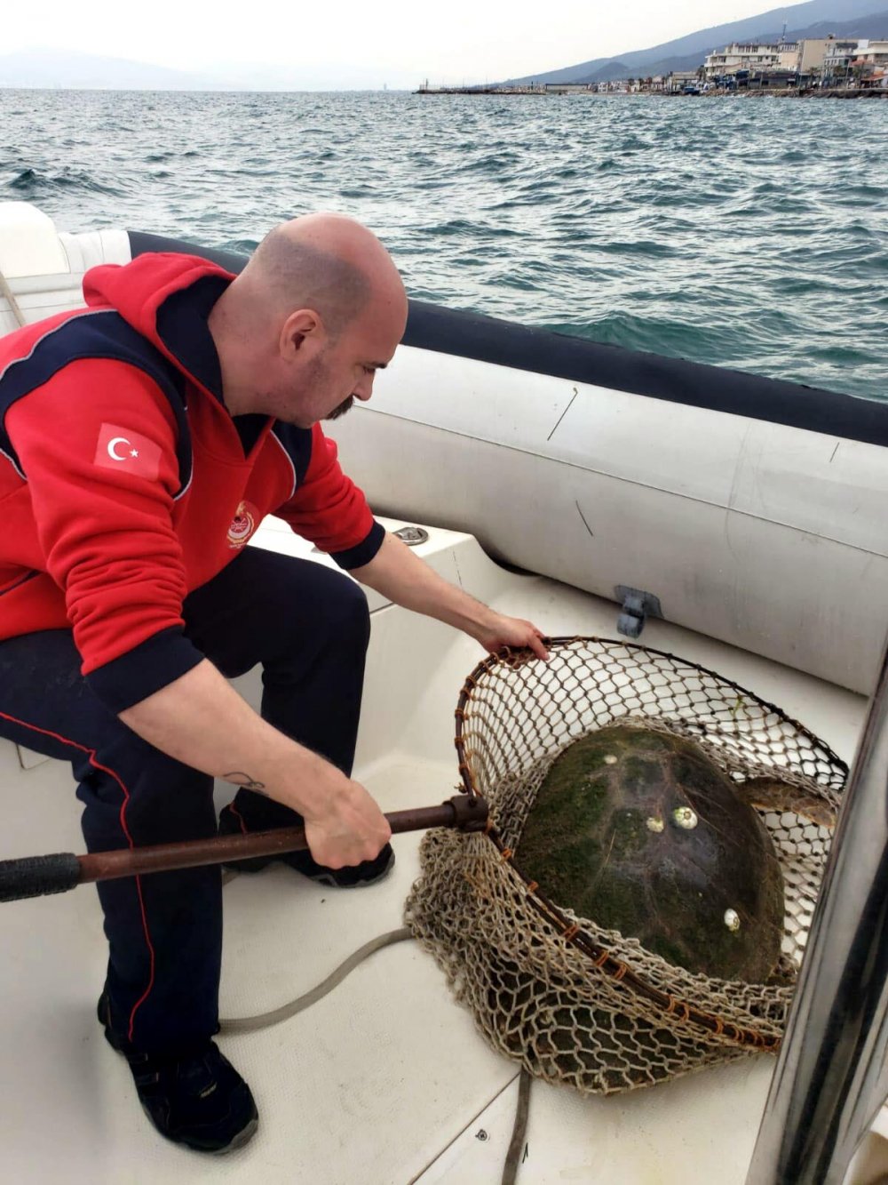 Ateşli silahla vurulan caretta caretta için zamanla yarıştılar