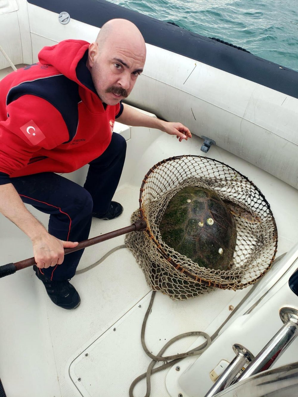 Ateşli silahla vurulan caretta caretta için zamanla yarıştılar
