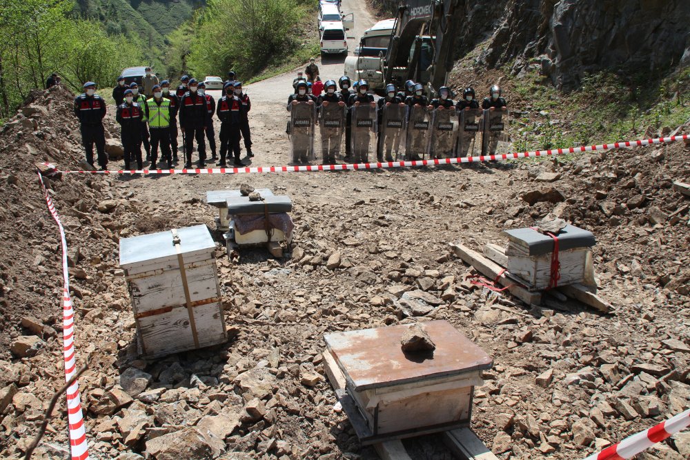 Rize'de arı kovanlarıyla direniş
