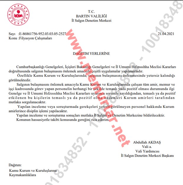 295078-620x629.jpg