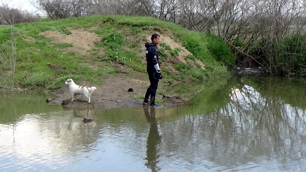 Arama çalışmalarını köpeği de takip etmişti... 7 gün sonra acı haber
