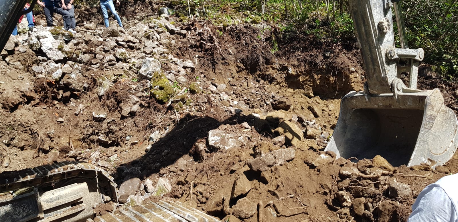 296110-1600x777.jpeg