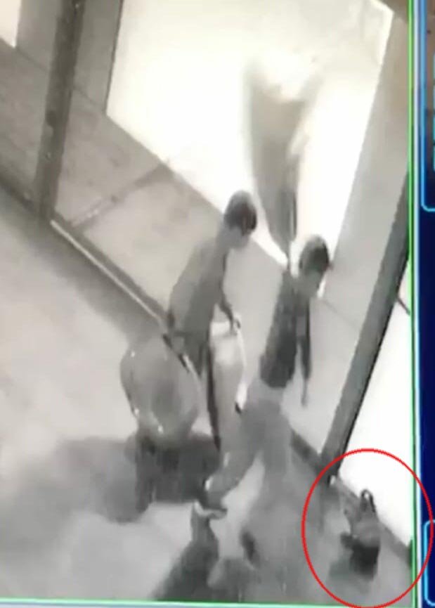 Dehşete düşüren anlar! İki çocuk kediyi bayıltana kadar dövdü