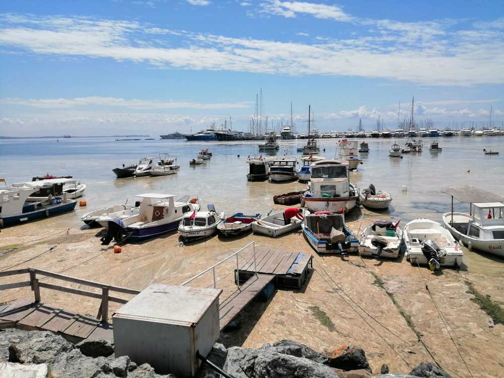 Deniz salyası yayılmaya devam ediyor! Şimdi de milyonluk teknelerin bulunduğu marinada