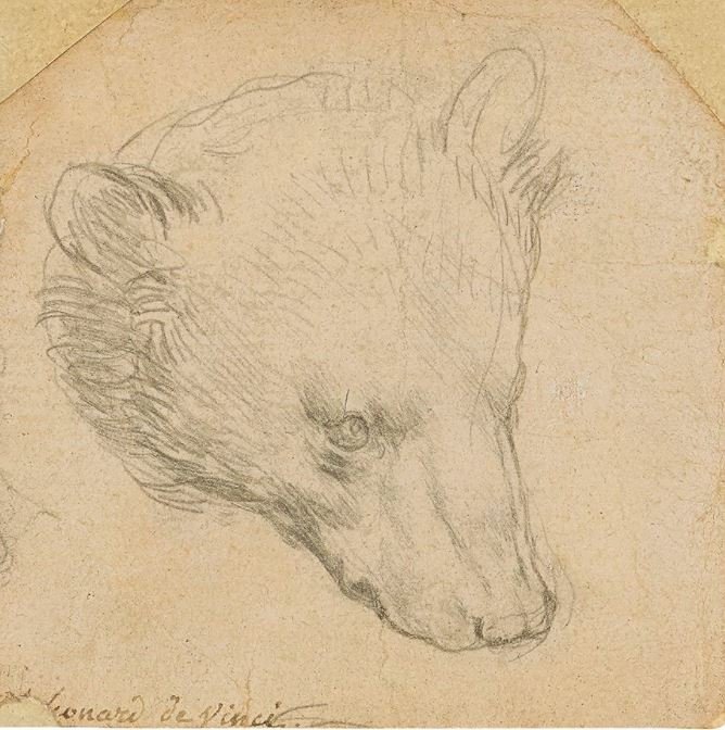 Leonardo da Vinci'nin bu çizimi servet değerinde satılacak!
