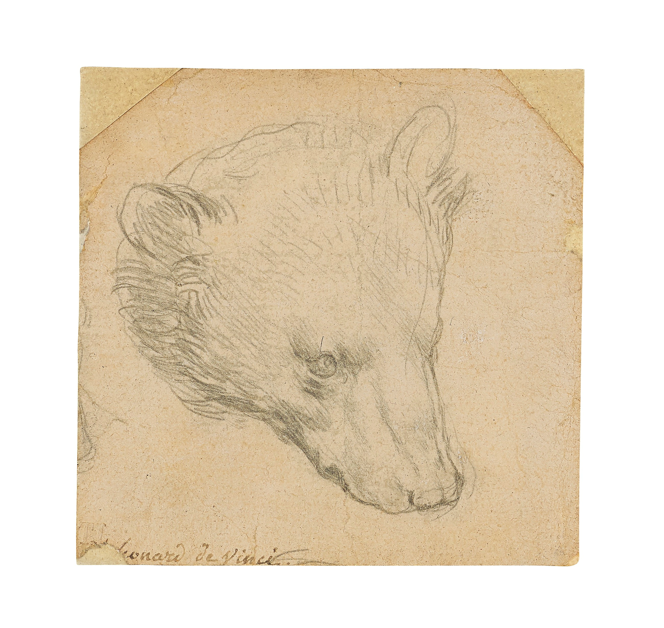 103110136-2021-05-07t144750z1589833535rc22bn9ma1qsrtrmadp3art-auction-da-vinci-drawing.jpg
