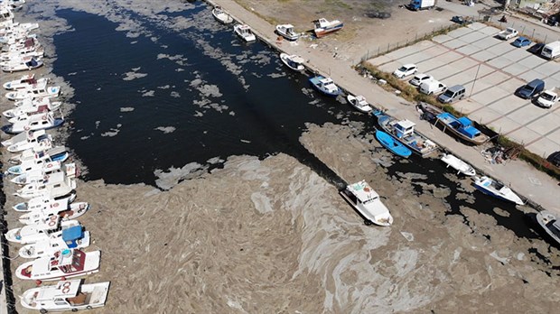 nehir-1.jpg