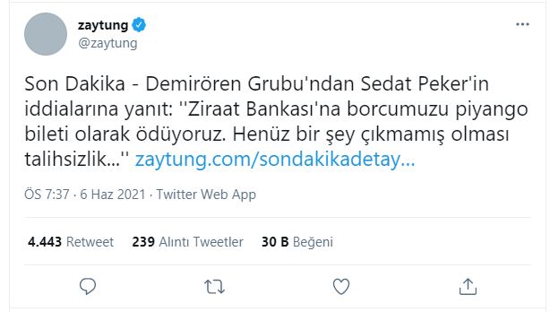 zay-2.jpg