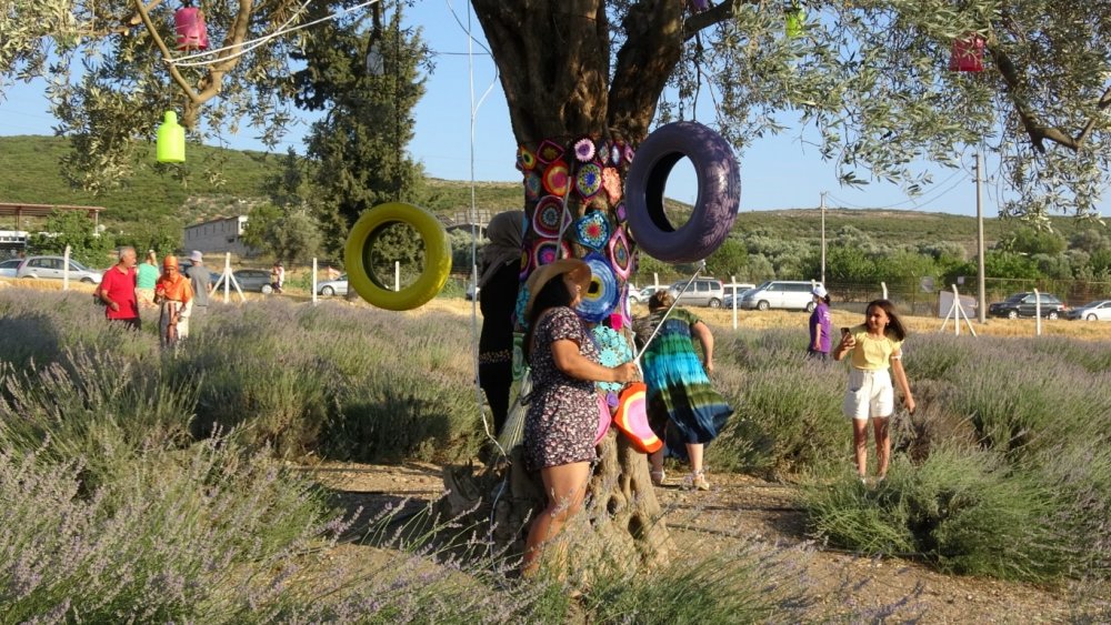 Didim’de 'Lavanta Festivali' renkli görüntülere sahne oldu