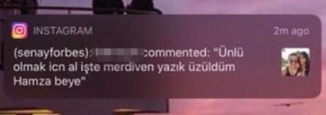 t2.jpeg