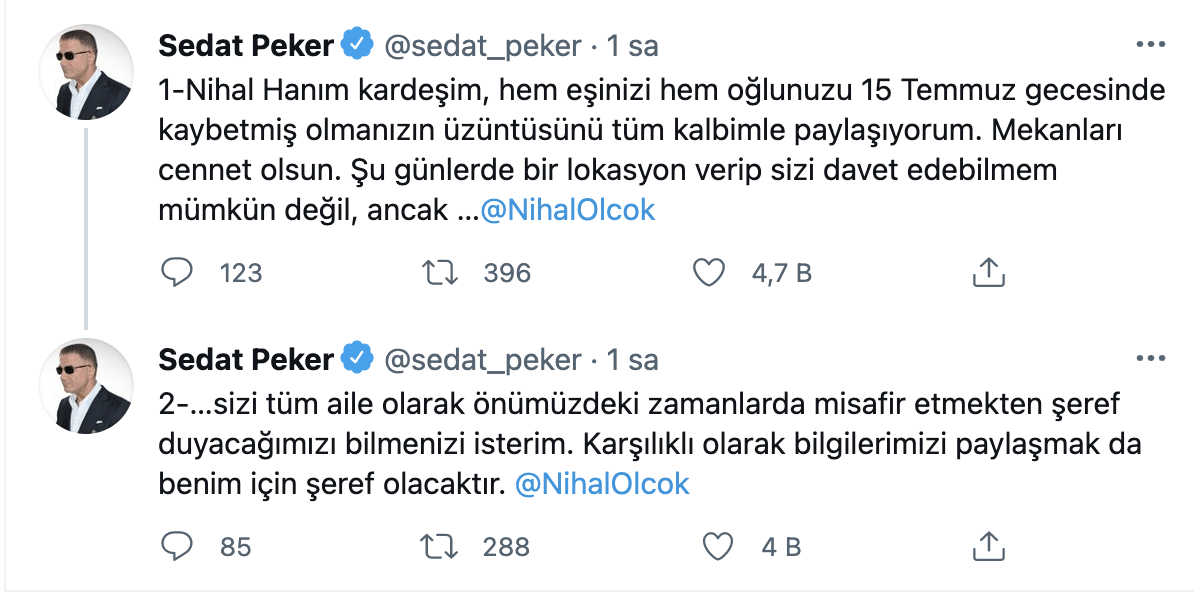 pek-1.jpg