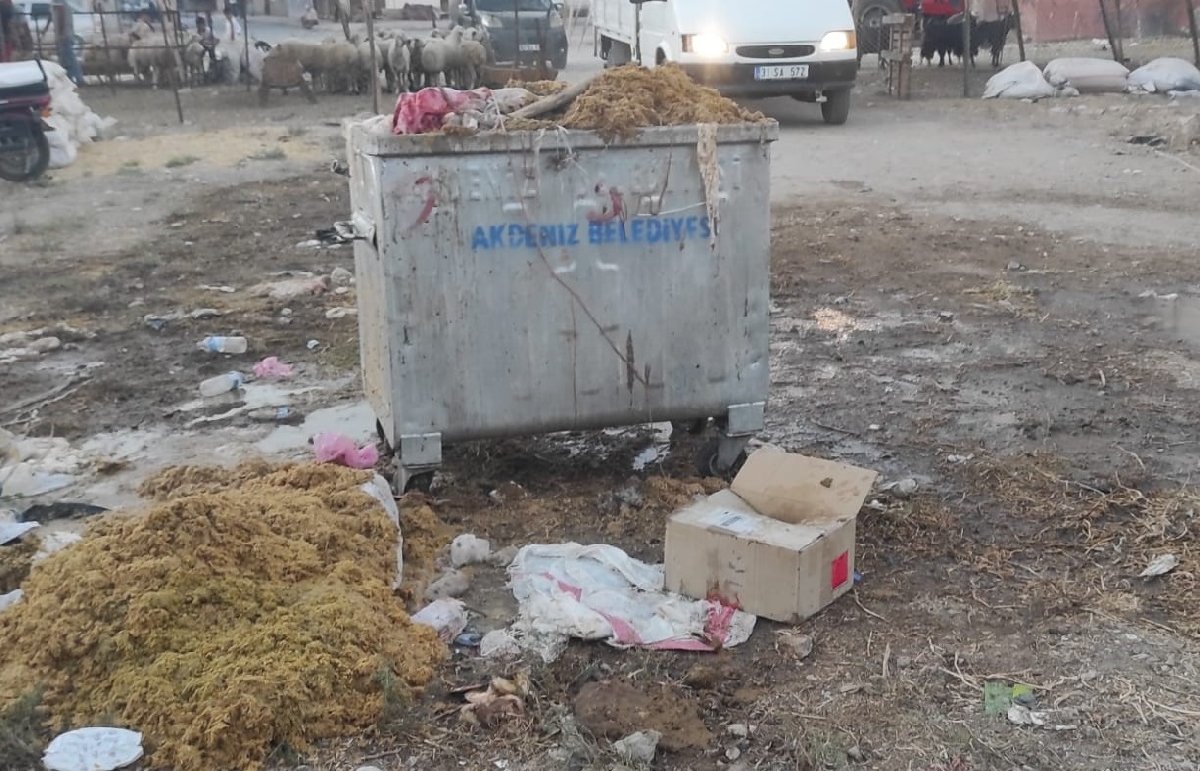bagis-2.jpg