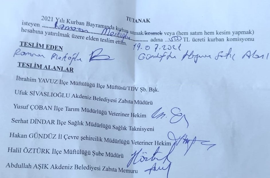 bagis-3.jpg
