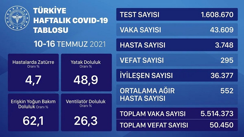 313466-800x450.jpg