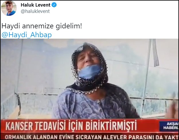 haluk-1.jpeg