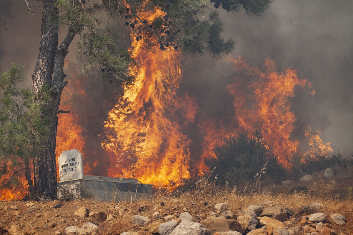 mersin-1.jpg
