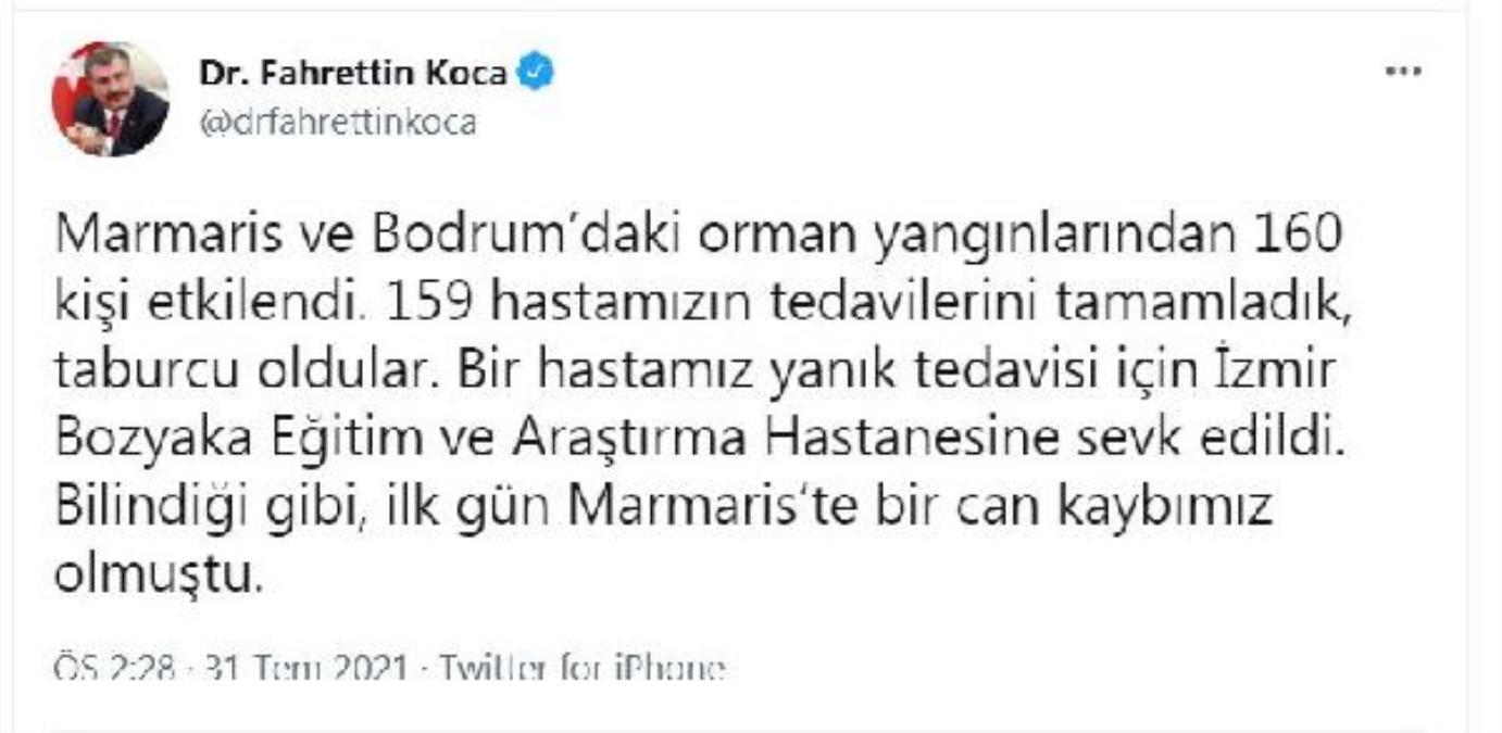 koca-1.jpg