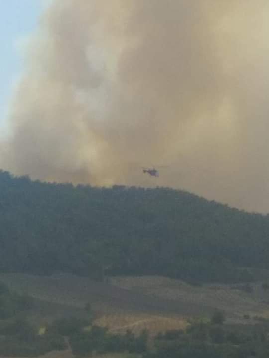 Adana'da orman yangını