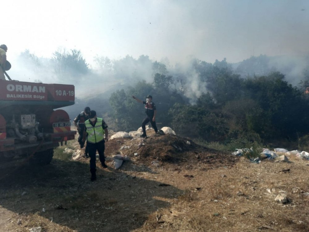 Balıkesir'de orman yangını; 20 dönüm alan kül oldu